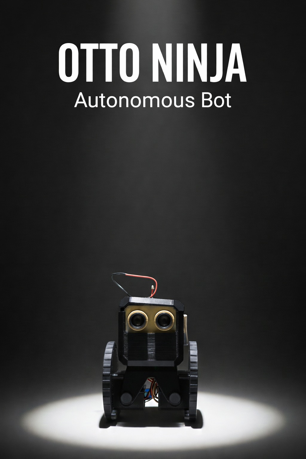Otto Ninja
